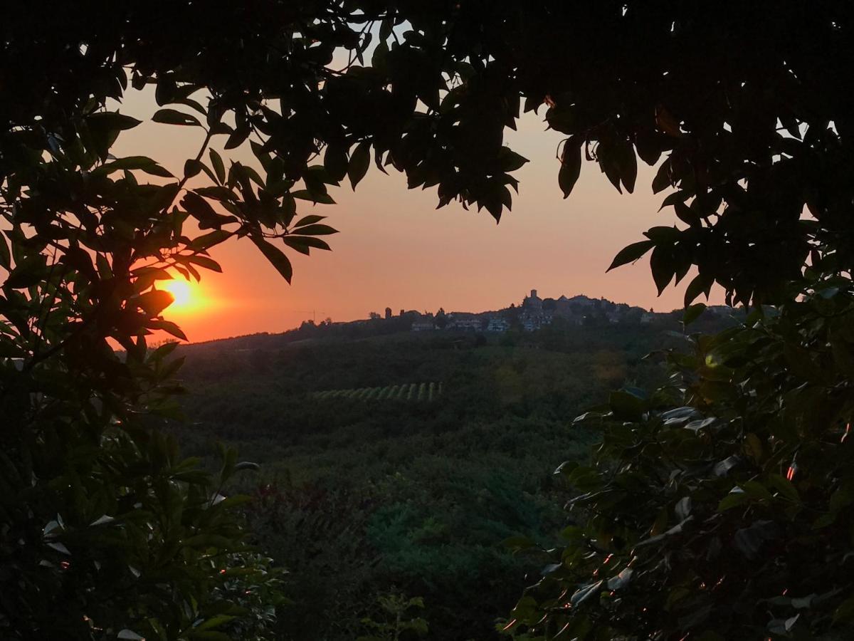Villa Bricco Dei Cogni La Morra Exterior photo