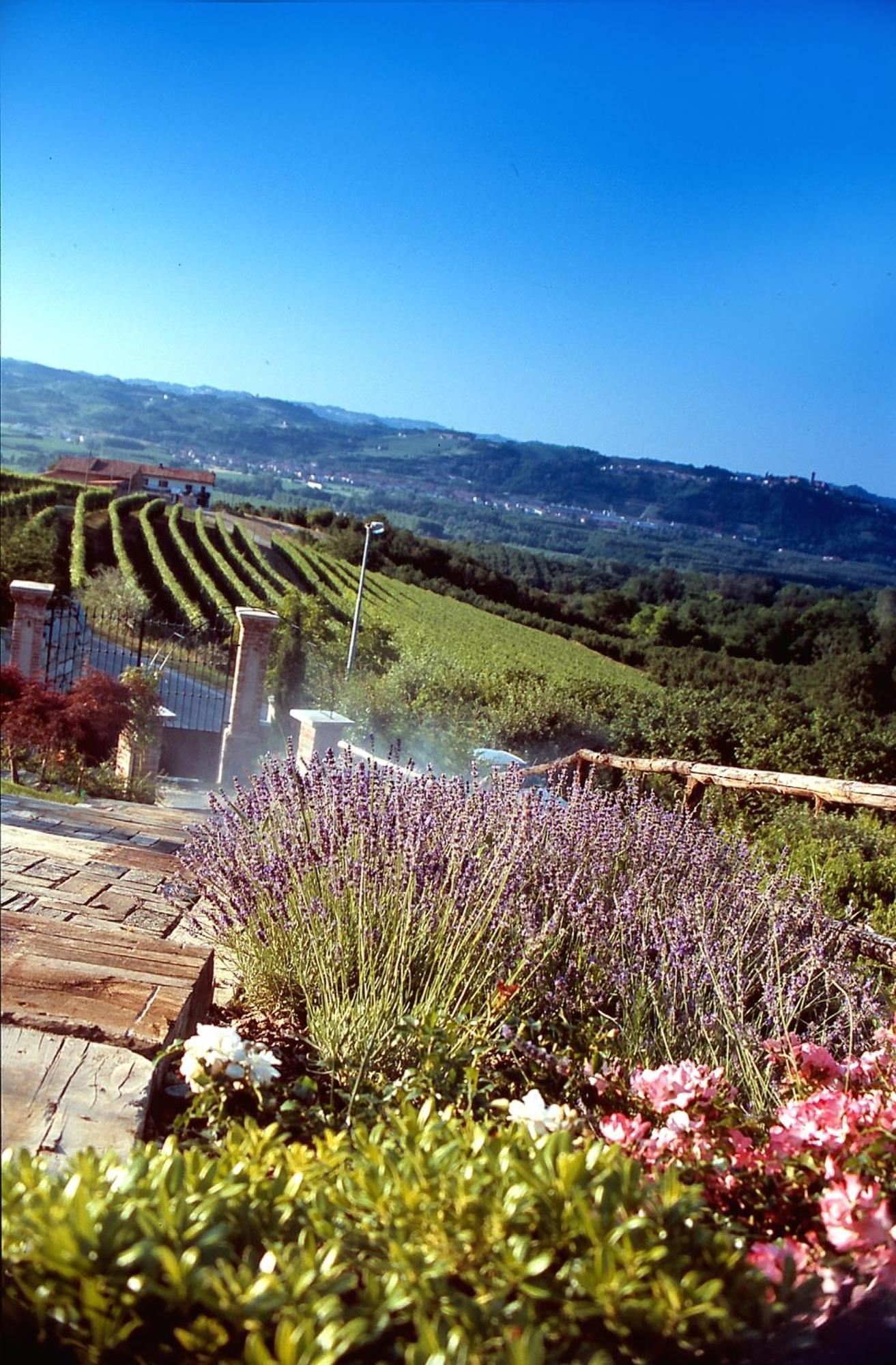 Villa Bricco Dei Cogni La Morra Exterior photo